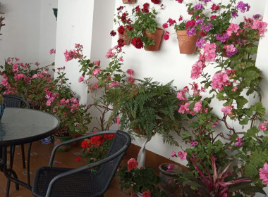 WhatsApp Image 2025-08-12 at 13.18.21 (2)